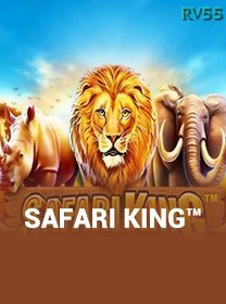 Safari King game cover